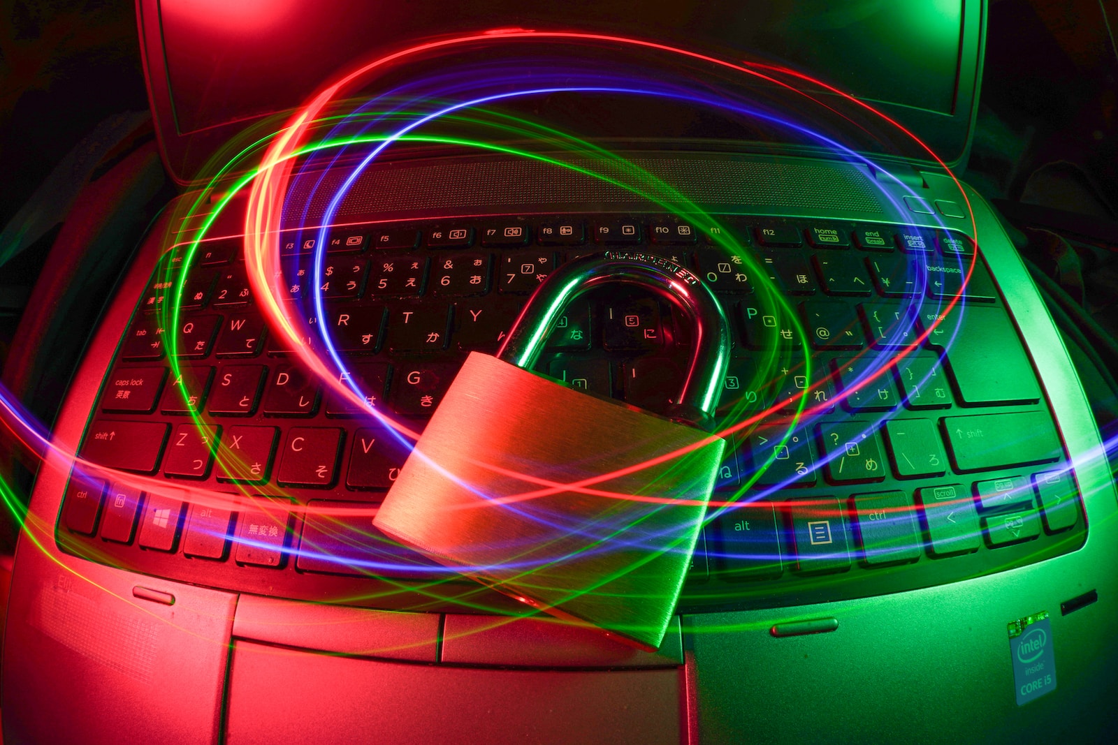 purple and pink light illustration